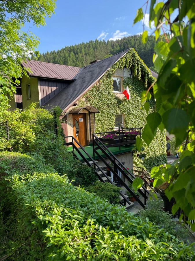 Homestay Dom 